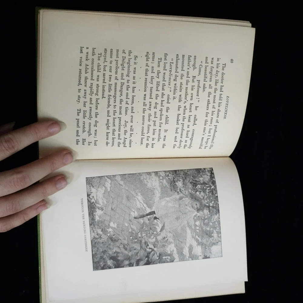 Loveliness By Elizabeth Stuart Phelps Green Book w/ Dog 1899 Antiquarian Novel